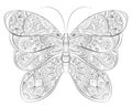 Vector doodle zentangle butterfly banner. Wish, congratulations, postcard. Template for printing, web design, poster