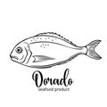 Vector dorado fish.