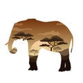 Vector Double exposure. Bear, elephant, camel and Leopard, wildlife concept Royalty Free Stock Photo