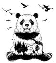 Double exposure, panda bear and forest landscape Royalty Free Stock Photo