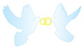 Vector doves with wedding rings