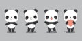 Set of cute giant panda bear cartoon characters. Royalty Free Stock Photo