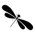 Vector dragon-fly silhouette. Cartoon graphic illustration of damselfly isolated with black and white wings. Sketch insect dragonf