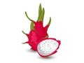 Vector Dragon fruit isolated on white background Royalty Free Stock Photo