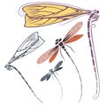 Vector dragonfly for invitations, advertising and greeting cards Royalty Free Stock Photo