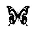 Vector drawing of an African butterfly Emperor Swallowtail Royalty Free Stock Photo