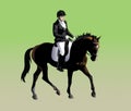 Rider athlete participating in dressage