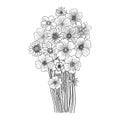 vector drawing bouquet flowers