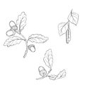 Vector drawing branches