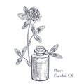 vector drawing clover essential oil