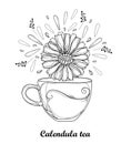 Vector drawing of contour cup of Calendula officinalis herbal tea with petals and flower in black isolated on white background. Royalty Free Stock Photo