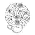 Vector drawing of contour cup of Tussilago farfara or coltsfoot herbal tea with leaves and flower in black isolated on white.