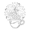 Vector drawing of contour cup with Viburnum or Guelder rose herbal tea, ornate leaves and berry in black isolated on white.