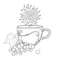 Vector drawing of contour glass with Viburnum or Guelder rose herbal tea, ornate leaves and berry in black isolated on white.