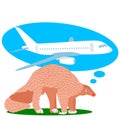 Vector drawing of coronavirus, airplane, pangolin