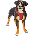 Vector drawing of a dog breed Rottweiler.