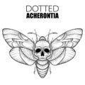 Vector drawing of dotted black Death`s head hawk moth or Acherontia atropos isolated on white background.