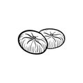 vector drawing dried figs at white background