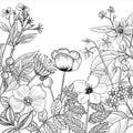 vector drawing floral vintage template