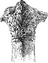 Fragment of ancient column