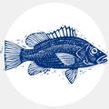 Vector drawing of freshwater fish with fins, underwater life ill Royalty Free Stock Photo