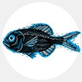 Vector drawing of freshwater fish with fins, underwater life ill Royalty Free Stock Photo