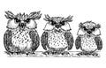 Vector drawing of a funny cartoon owls family