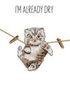 Vector drawing of a funny kitten hanging on a rope. Tagline - I`m already dry