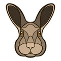 Vector drawing head of a rabbit, hare