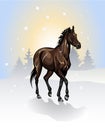 Vector drawing of a horse in winter