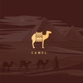 Vector drawing icon of an Egyptian camel.