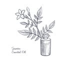 vector drawing jasmine essential oil Royalty Free Stock Photo