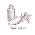 Vector drawing kapok seed oil