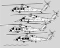 Sikorsky UH-60 Black Hawk. Vector drawing of military helicopter.