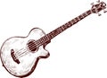 Acoustic guitar