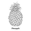 Vector drawing with outline Ananas or Pineapple fruit and leaf in black isolated on white background. Perennial tropical plant.