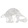 Vector drawing of pangolin in a outline, contour