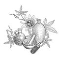 Vector drawing passion fruit oil Royalty Free Stock Photo