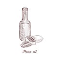 Vector drawing pecan oil Royalty Free Stock Photo