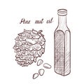 Vector drawing pine nut oil Royalty Free Stock Photo