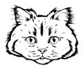 Black and white muzzle of a siberian cat portrait. art of cat black and white graphics drawn by ink. feline fluffy portrait of