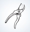 Vector drawing. Pruner