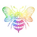 Vector drawing of rainbow watercolor bee. Colorful drawing of honeybee with tracery ornament. Insect with wings with boho ornament