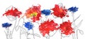 Vector drawing poppy flowers Royalty Free Stock Photo