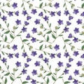 vector drawing seamless pattern with balloon flower