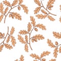 vector drawing seamless pattern with branch of oak tree Royalty Free Stock Photo