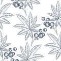 vector drawing seamless pattern with castor plant Royalty Free Stock Photo