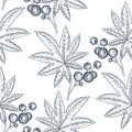 vector drawing seamless pattern with castor plant