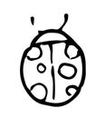 Vector drawing of a small round beetle with dots on its back with antennae top view of a black line on a white background.
