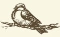 Vector drawing. Small titmouse on a branch